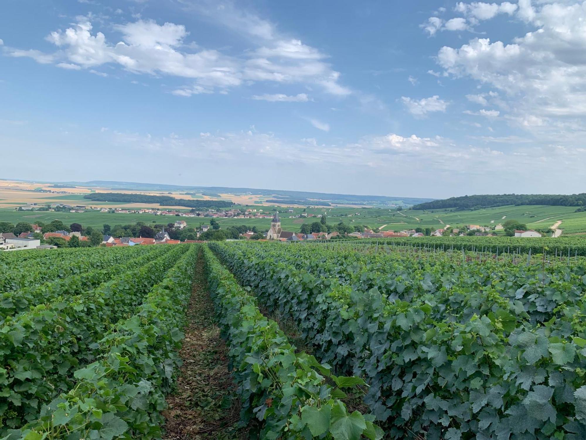 Les Suites Champenoises Tinqueux Esterno foto
